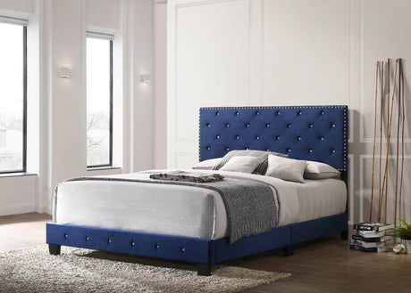 Navy Blue Velvet Full Upholstered Bed Frame - Serenova - Omega Lifestyles