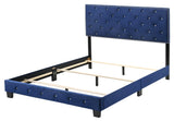 Navy Blue Velvet Full Upholstered Bed Frame - Serenova - Omega Lifestyles