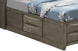 Queen Gray Particle Board Storage Bed Frame - Serenova - Omega Lifestyles