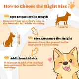 Rustic Large Double Dog Crate Furniture With Drawers - Omega Lifestyles