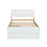 Twin Modern White High Gloss Bed Frame With Drawers - Serenova - Omega Lifestyles