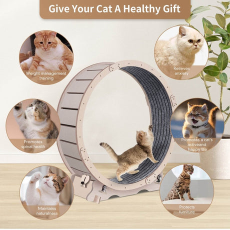 Wooden Silent Indoor Cat Exercise Running Wheel - Serenova - Omega Lifestyles