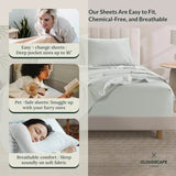 100% Egyptian Cotton Sheets Queen Size Bed Set, 4 Pieces Luxury Bedding Sheet, 1000 Thread Count,Hotel Quality, Silky Soft, - Omega Lifestyles