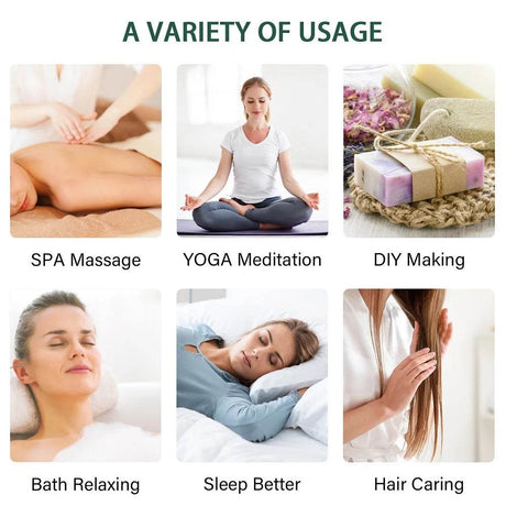 20pcs Kits Gift Box Essential Oil for Diffuser Pure Natural Plant Extract Frankincense Vanilla Lemon Mint Jasmine Tea Tree Oil - Sleep Galleria