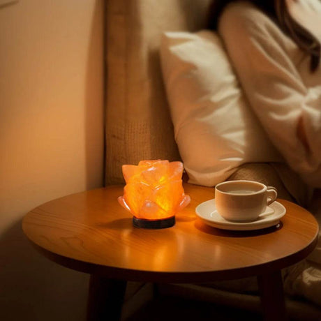 Himalayan Salt Lamp LED Night Light with Base Crystal Salt Rock Lamp LED Atmosphere Lamp Home Bedroom Decoration - Sleep Galleria