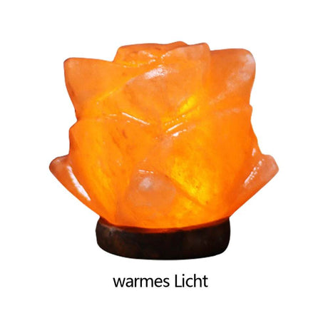 Himalayan Salt Lamp LED Night Light with Base Crystal Salt Rock Lamp LED Atmosphere Lamp Home Bedroom Decoration - Sleep Galleria