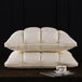 Pair Of Goose Down Feather Neck Pillows - Sleep Galleria