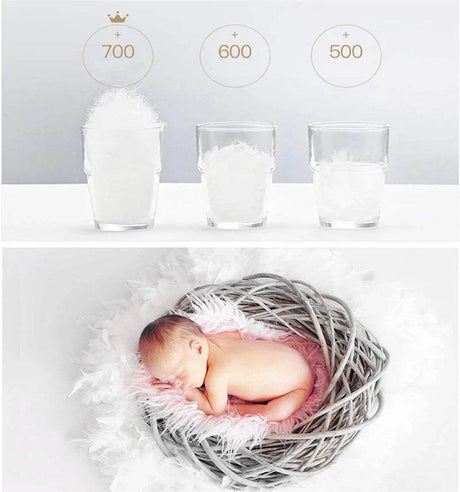 Pair Of Goose Down Feather Neck Pillows - Sleep Galleria
