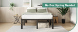 Heavy Duty 14-Inch Metal Platform Bed Frame with Storage - Omega Lifestyles
