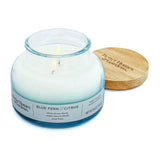Scented 2-Wick 18oz Ombre Soy Wax Candle - Omega Lifestyles