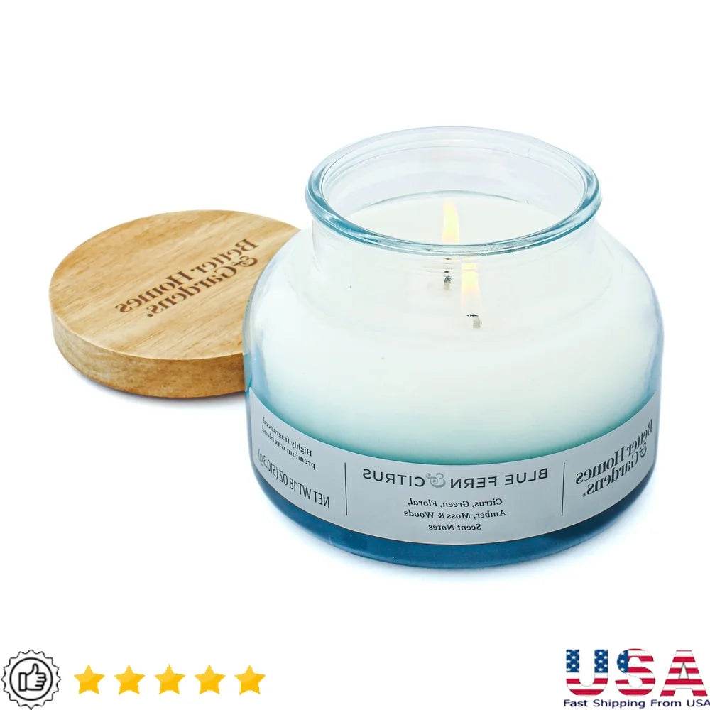 Scented 2-Wick 18oz Ombre Soy Wax Candle - Omega Lifestyles