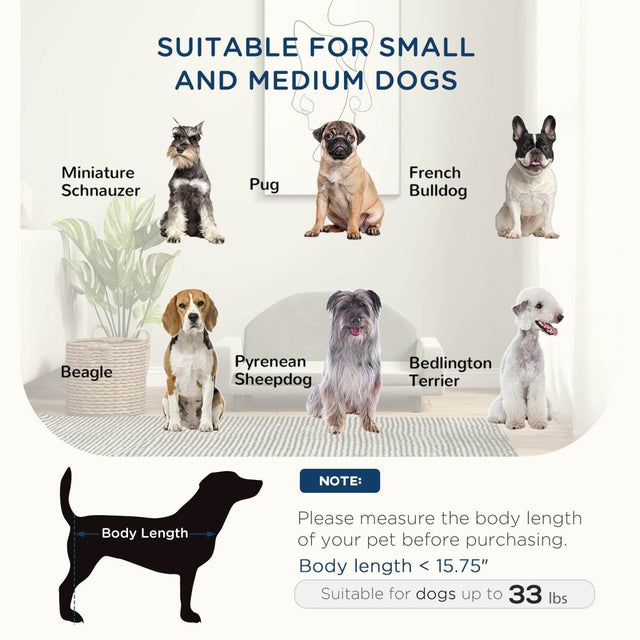 Elevated Wood Frame Pet Sofa With Soft Cushion - Omega Lifestyles